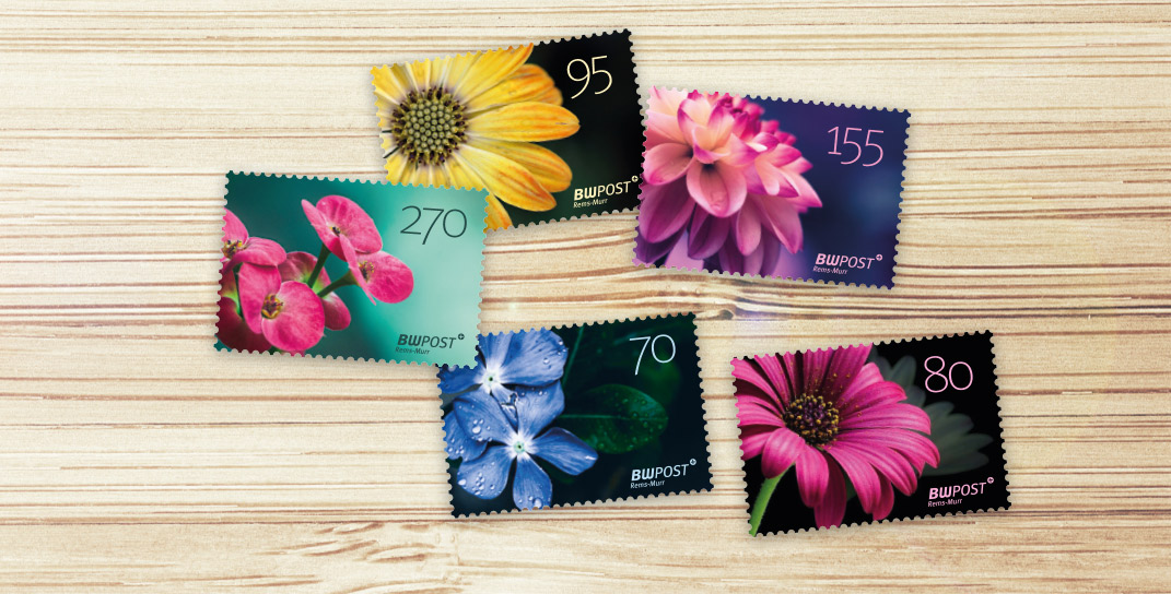 stage_rems-murr_2023_homepage-neu